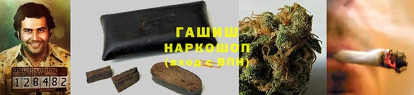 гидра Калининец