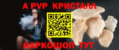 твердый Кингисепп
