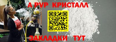 твердый Кингисепп