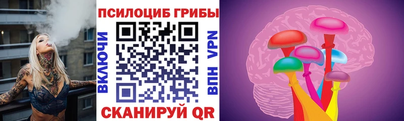 MEGA зеркало  Шали  Псилоцибиновые грибы ЛСД 