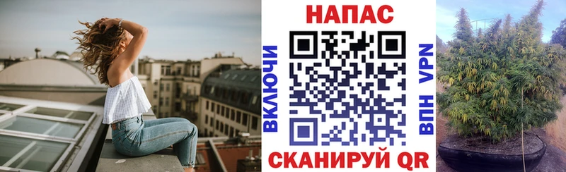 цены Шали Шишки марихуана Bruce Banner